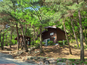 힐링 쉼터 ‘경북 자연휴양림’ 전국서 각광