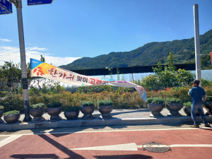 성주군 금수면, 별고을 마을 축제 대비 불법광고물 정비
