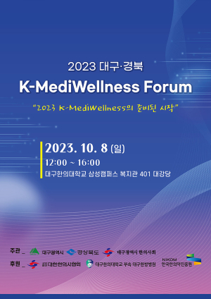 대구시, 대구경북 의료관광 웰니스 발전 방안 모색