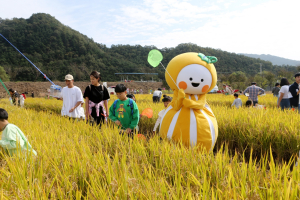 성주가야산 황금들녘 메뚜기축제 성료