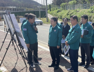 소나무 집단 고사 발생…포항시, 공동대응 착수