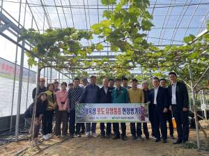 상주농기센터, 포도 유망품종 현장평가회