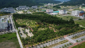 경북도청신도시 ‘천년숲’, 최우수 도시숲 영예