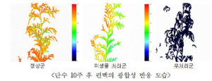 담수 미생물 활용 식물 가뭄 피해 줄인다