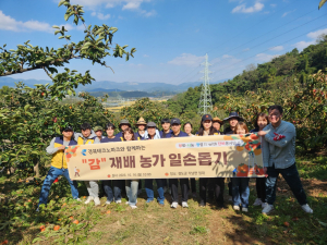 경북테크노파크, 청도군 감 재배 농가 일손돕기