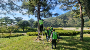 영덕군 자연보호협의회, 야생조류 보호 새집 설치