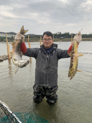 경북도 민물고기연구센터, 건강한 내수면 생태계 어자원 조성