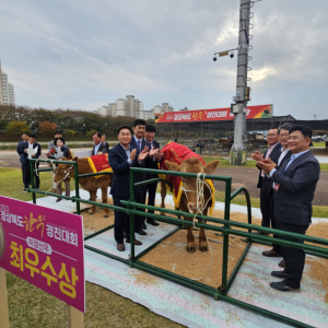 청도군 금천면 박천석 농가, 경북한우경진대회 미경산우 부문 최우수상  수상