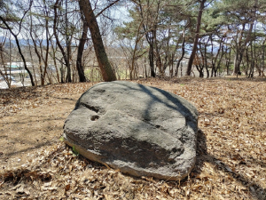 “상주 함창고녕가야 역사 바로 세우자”