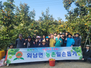 상주시 외남면, 감 생산 농가 일손 돕기