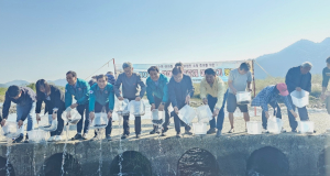고령군, 잉어류·동자개 어린고기 방류