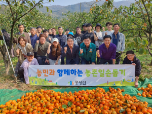 상주시 공성면, 가을 수학철 농촌 일손 돕기 ‘구슬땀’