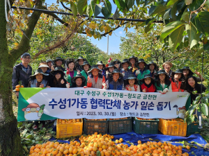 대구 수성구 수성1가동, 자매도시 청도군 금천면서 농가 일손 도와