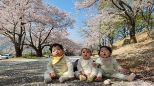 칠곡 인구정책 사진공모 대상 ‘벗, 꽃들’