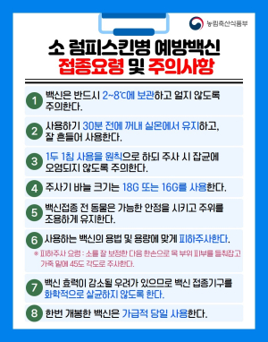 경북도, 소 사육 농가 긴급 예방접종 실시