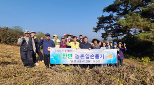 상주시 이안면, 수확철 농촌일손돕기 구슬땀