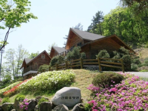 “반려견과 함께 편안한 안동 여행 즐겨요”