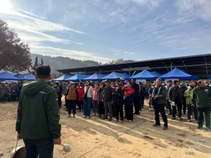 봉화군 봉성면 체육회, 한마음 걷기대회