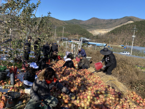 대구 군위군농업기술센터, 가을철 농촌일손돕기