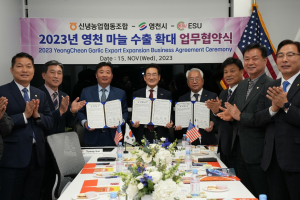 영천마늘 美 시장 수출 확대 연 1000tㆍ450만 달러 규모