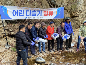 경북도 민물고기연구센터, 어린 다슬기 130만 마리 방류