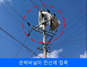 한전 대구본부, 정전ㆍ대형화재 원인 ‘비산물 관리 철저’ 당부