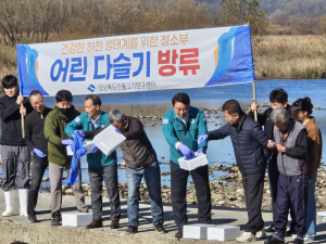 고령군, 어린 다슬기 12만 마리 방류