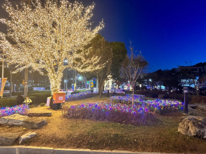 상주시, 시청 주변 은하수 경관조명 설치 '눈길'