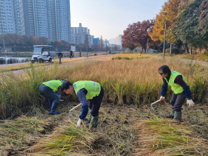 대구공공시설관리공단, 신천둔치 논ㆍ둠벙 추수