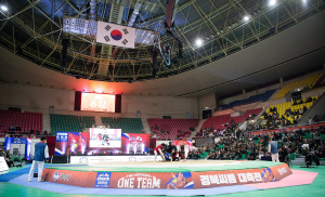 ‘경북 씨름 대축전’ 세계화 가능성 확인