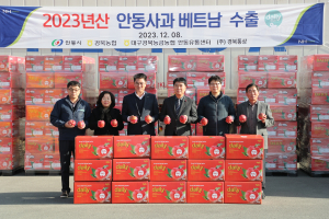 ‘고품질 안동사과’ 베트남 수출길 올라