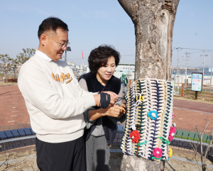 칠곡군 석적읍, 가로수 겨울옷 입히기 행사