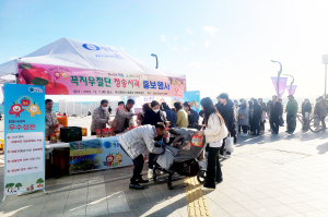 청송군, 꼭지 무절단 청송사과 장점 알리기 앞장