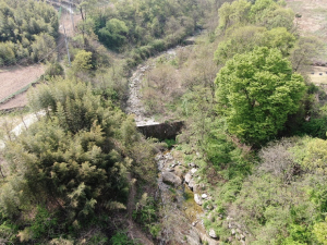경북도, 산림청 국가산림문화자산 전국 최다 5개소지정