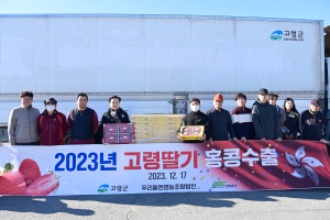 고령, 올해 첫 딸기 수출 개시