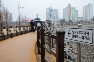 영천시, 망정우로지 산책로 시화거리 조성