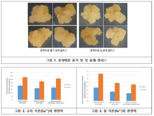 상주국립낙동강생물자원관, 콩제비꽃 캘러스 추출물 특허출원