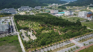 경북도, 자연환경ㆍ숲 활용 ‘산림복지’ 총력