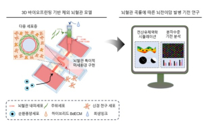 POSTECH-부산대-中 베이징이공대 연구팀, 3D 바이오 프린팅 기술로 순환 종양 세포 거동 변화 분석 플랫폼 개발