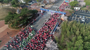 경주벚꽃마라톤 참가하고 관광도 즐겨요
