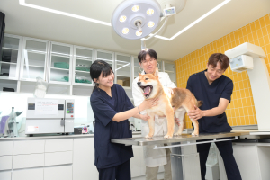 대구보건대 반려동물보건관리학과, 동물보건사 양성기관 평가인증 획득