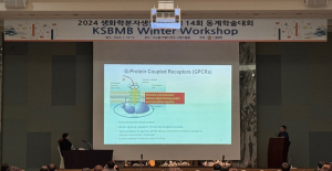 케이메디허브-생화학분자생물학회, 인공지능 신약개발 공동세션 개최