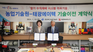 경북농업기술원, 딸기 수직재배 시스템 특허 기술이전