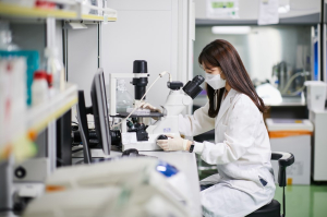 케이메디허브, 줄기세포 유래 골다공증 개선 물질 국제학술지 게재