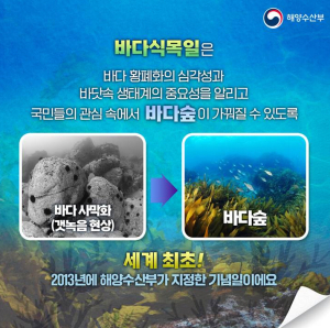 ‘바다식목일 기념행사’ 포항서 막오른다