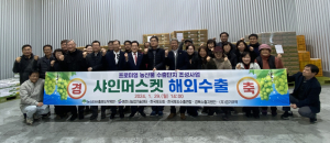 영천 프리미엄 샤인머스켓 홍콩 수출길