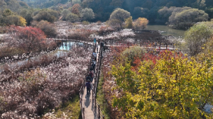 경북도 문경돌리네습지, 세계 람사르 습지 등록