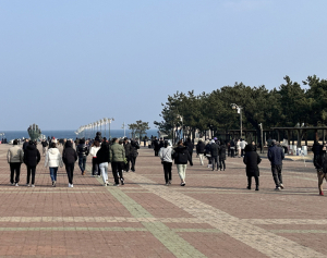 설 연휴 포항 관광객 북적…12만 명 발길
