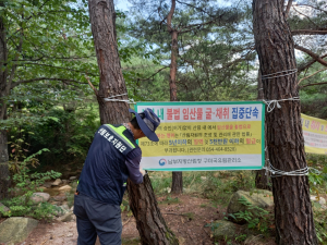 구미국유림관리소, 산림보호지원단 운영