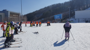 울릉 초중학생 스키캠프… 1ㆍ2차 42명 참가